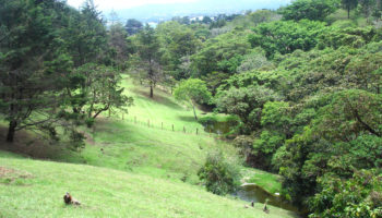 Cuatro Fincas | Constructora DIA Costa Rica