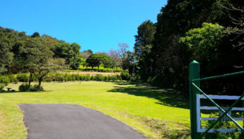 Sierra Verde | DIA Costa Rica