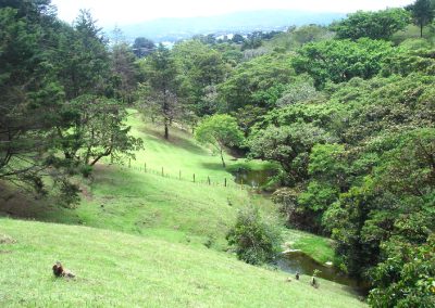 Cuatro Fincas de Guararí
