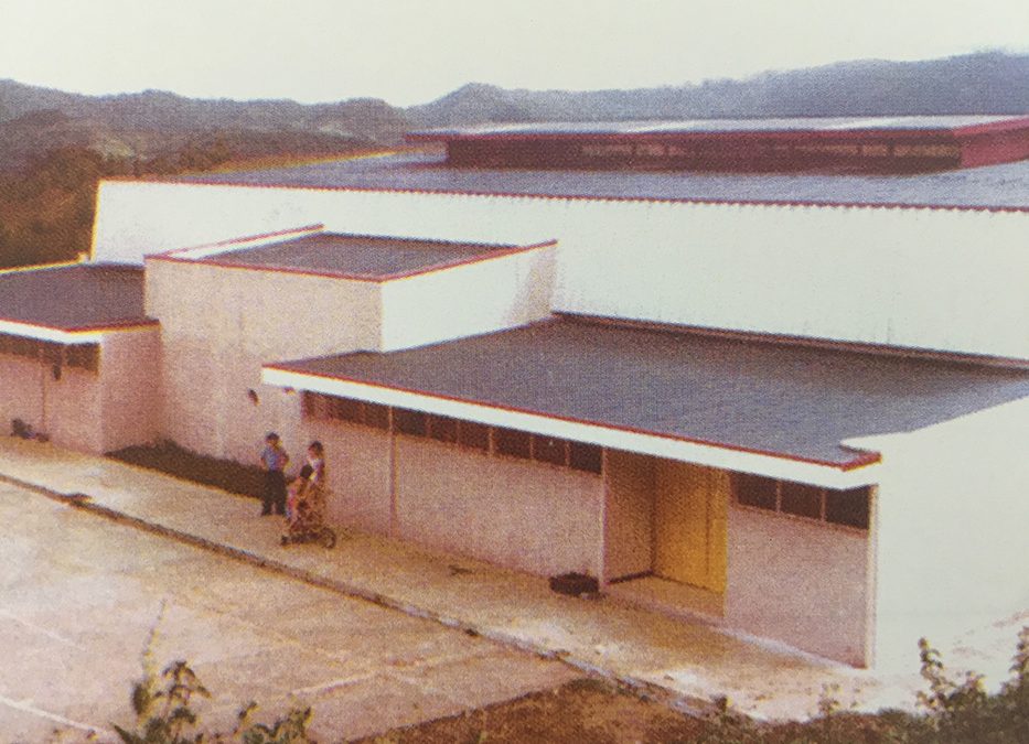 Gimnasio Liceo Vicente Lachner